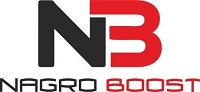 Топливная присадка NagroBoost — Группа Компаний «NAGRO»