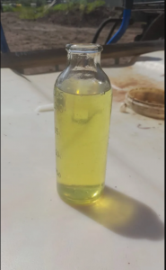 Кондесат газовый стабильный, светлый