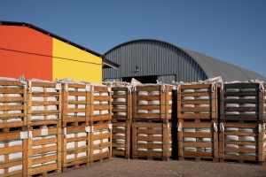 Дорожный битум БНД 100/130 (Ангарская НХК) на экспорт в Монголию