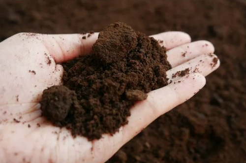 Кофейный жмых с автозаправочных станций Москвы и Петербурга превратят в топливо