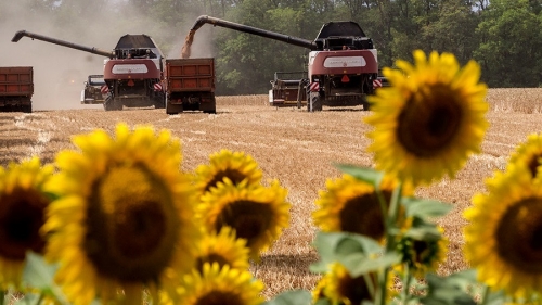 Вице-премьер Александр Новак заявил о снижении цен на топливо для аграриев