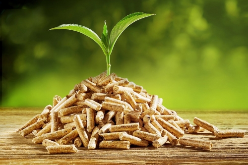 Как из опилок и пищевых отходов получают энергоресурс под названием биотопливо