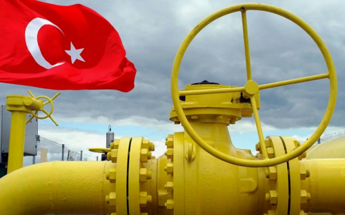 Российские нефть и газ стали основными статьями импорта для Турции Российские нефть и газ стали основными статьями импорта для Турции